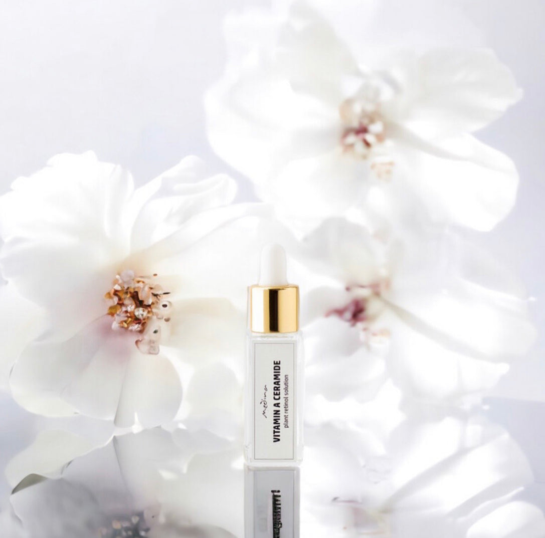 Vitamin A Ceramide