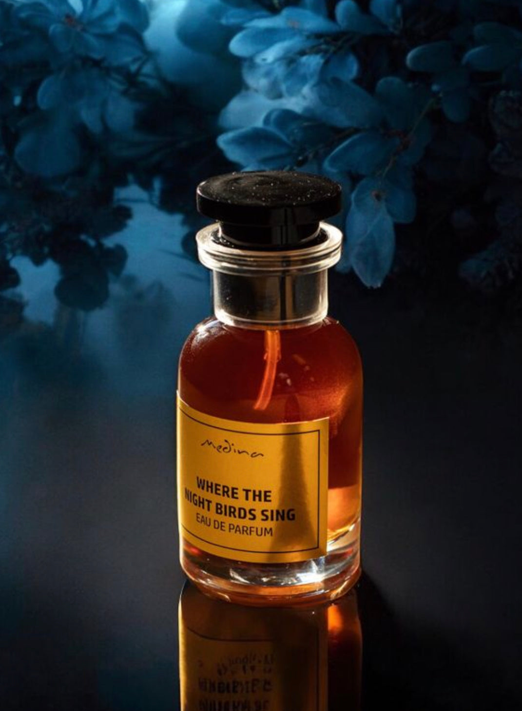 Where the Night Birds Sing