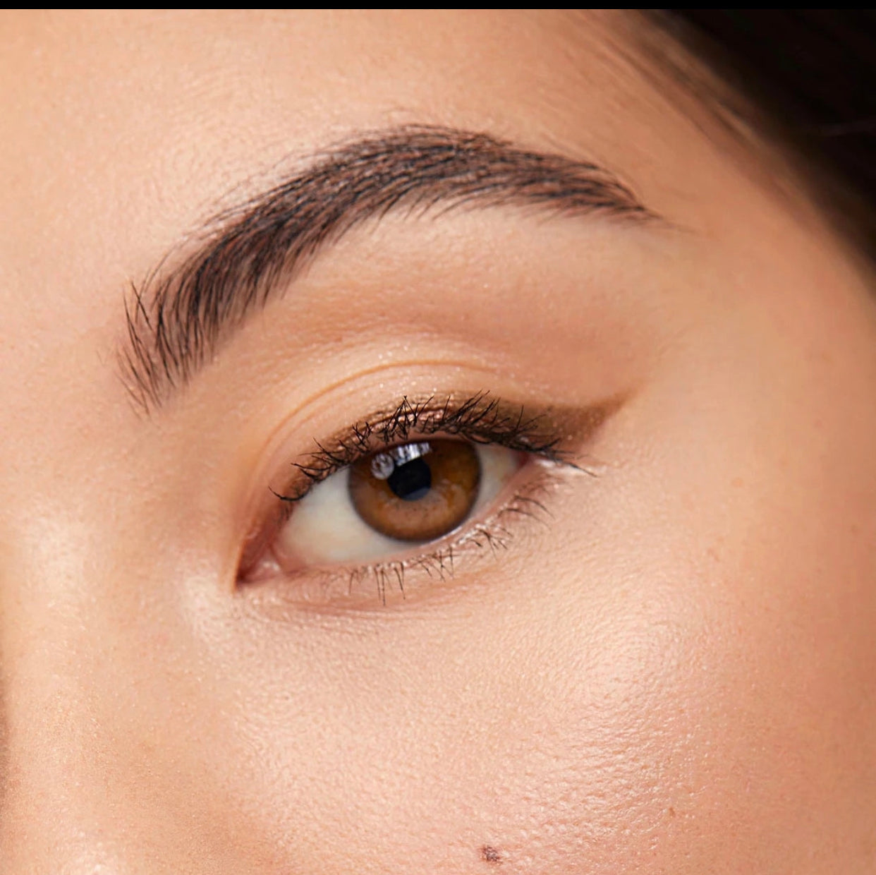 Hybrid Eye Pigment - "Glint"