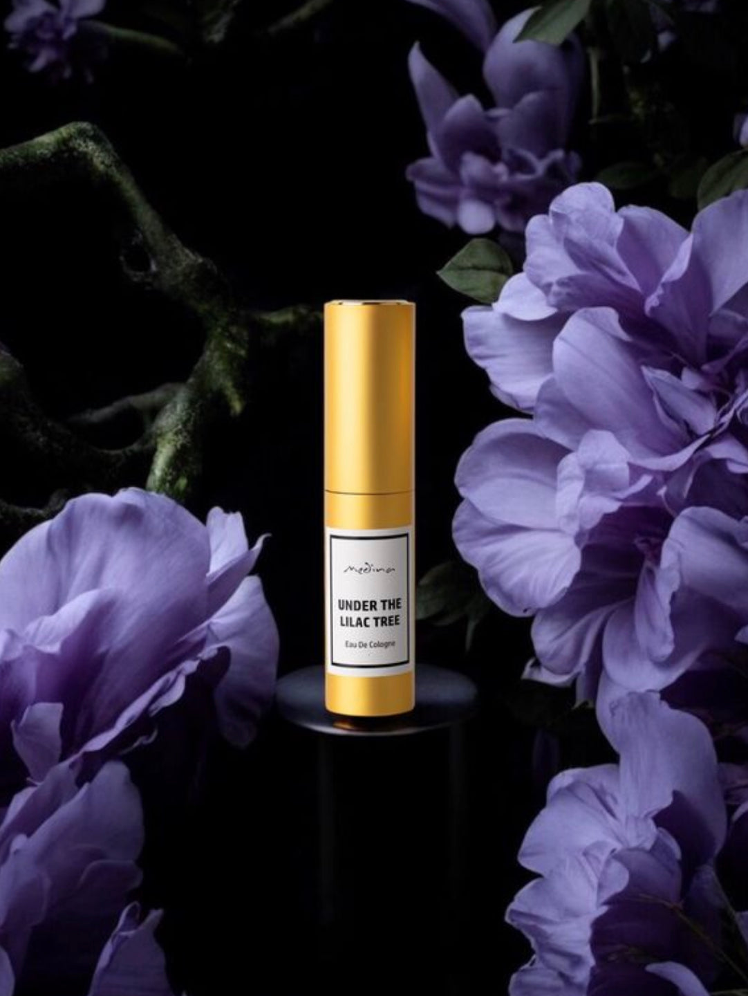 Under the Lilac Tree