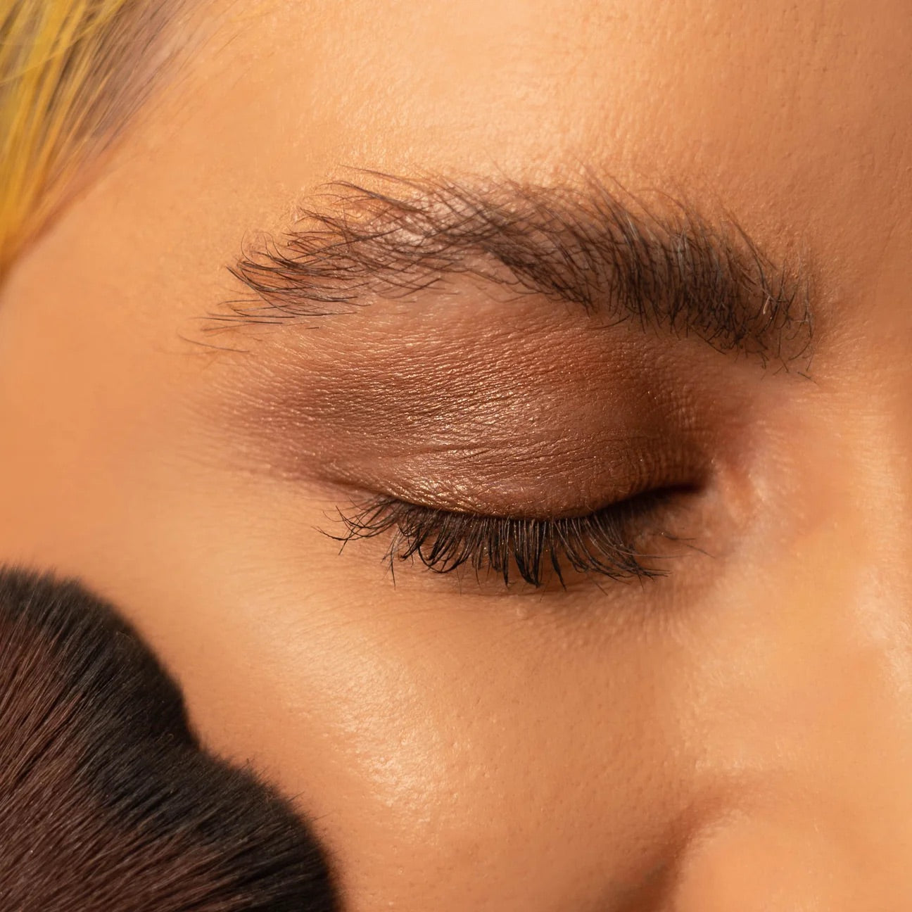 Signature palette