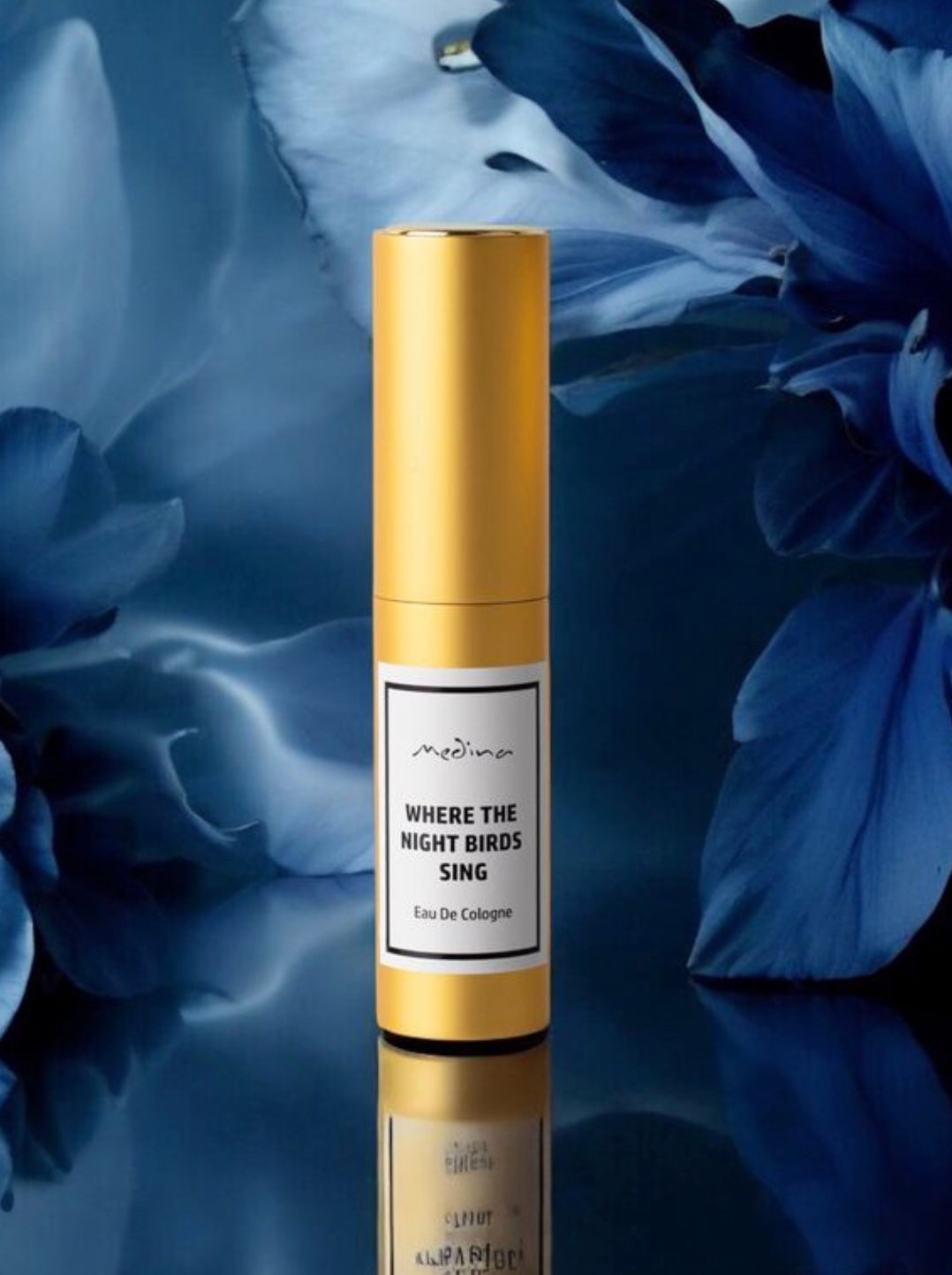 Where the Night Birds Sing